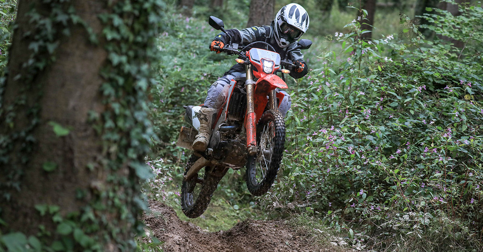 Tested: Honda CRF450L - Too focused life on the trail?